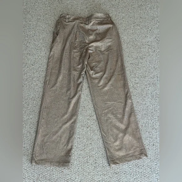 Sparkly Dress Pants - Picture 5 of 7